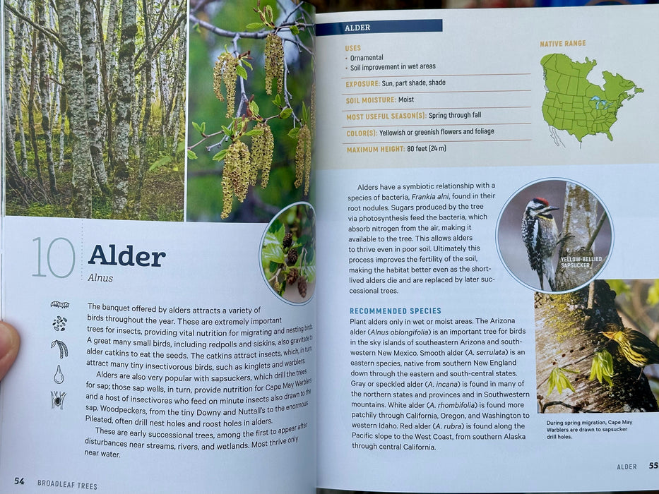 100 Plants to Feed the Birds by Laura Erickson