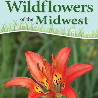 Wildflowers of Midwest Quick Guide