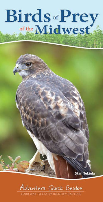 Birds of Prey of Midwest Quick Guide