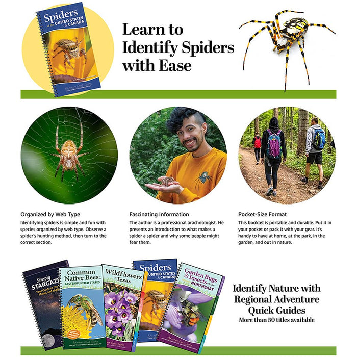 Spiders of the United States & Canada Quick Guide