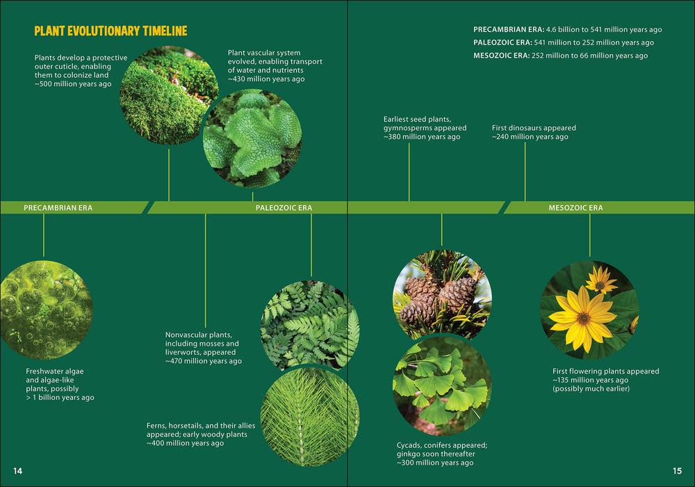 Pollinators & Native Plants for Kids