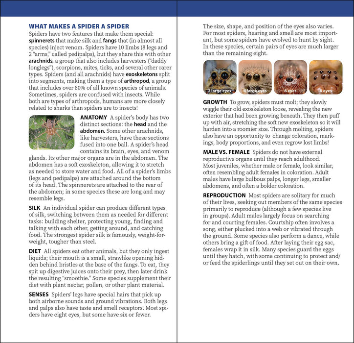 Spiders of the United States & Canada Quick Guide