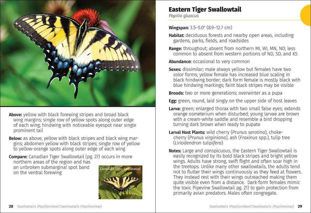 Butterflies of the Midwest Field Guide