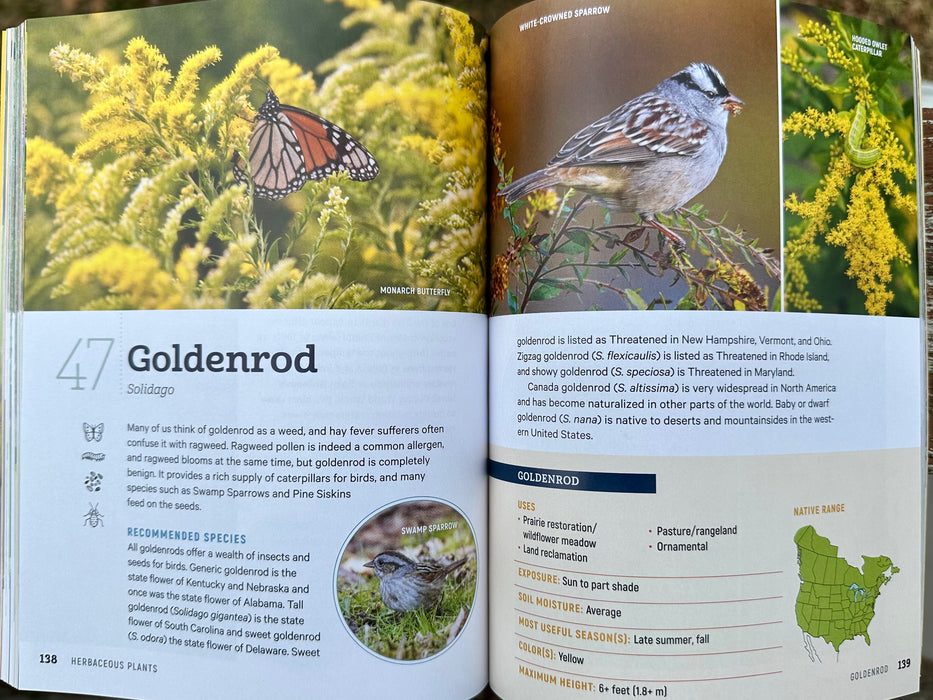 100 Plants to Feed the Birds by Laura Erickson