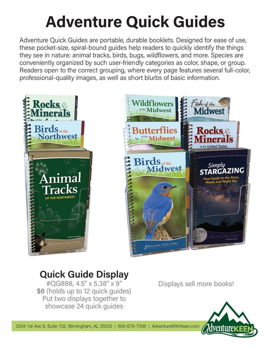 Birds of Prey of Midwest Quick Guide