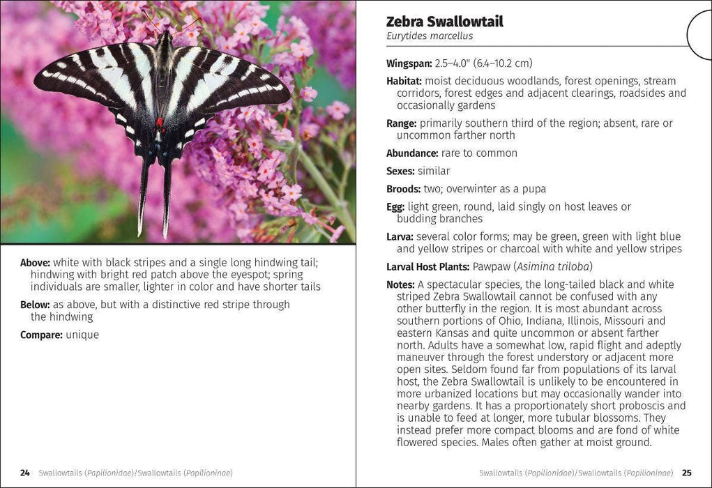 Butterflies of the Midwest Field Guide