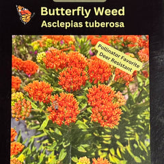 Seed Pack - Butterfly Milkweed (Asclepias tuberosa)