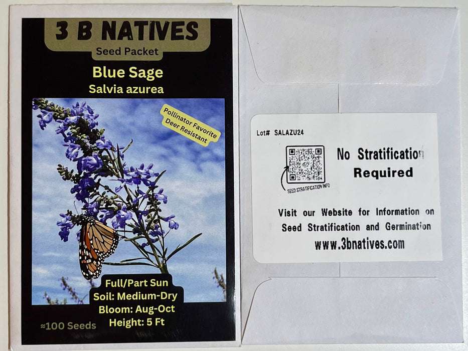 Seed Pack - Blue Sage (Salvia azurea)