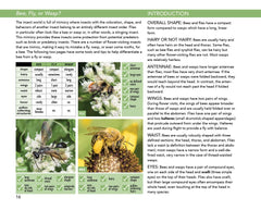 Bees: An Identification and Native Plant Forage Guide by Heather Holm
