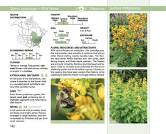 Bees: An Identification and Native Plant Forage Guide by Heather Holm