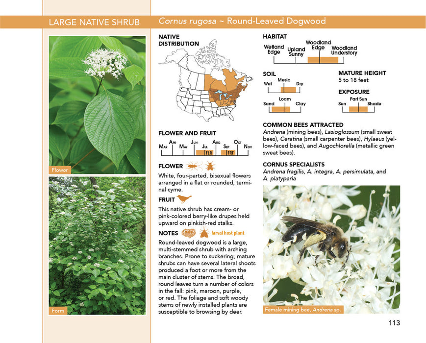 Bees: An Identification and Native Plant Forage Guide by Heather Holm