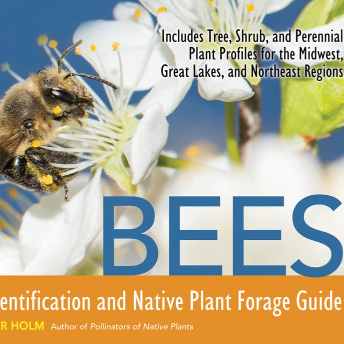 Bees: An Identification and Native Plant Forage Guide by Heather Holm