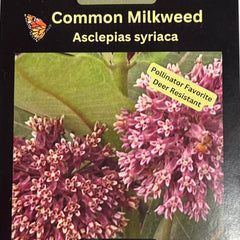 Seed Pack - Common Milkweed (Asclepias syriaca)