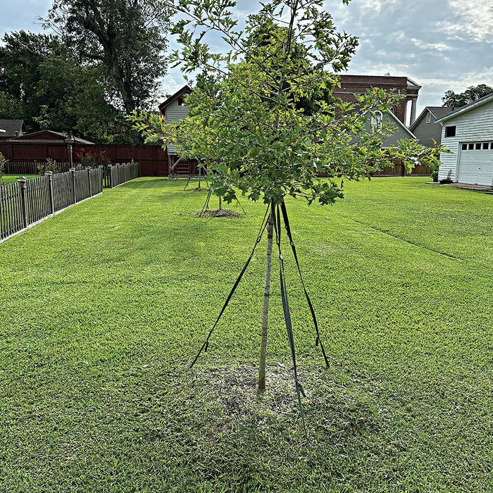 Tree Stake Kit