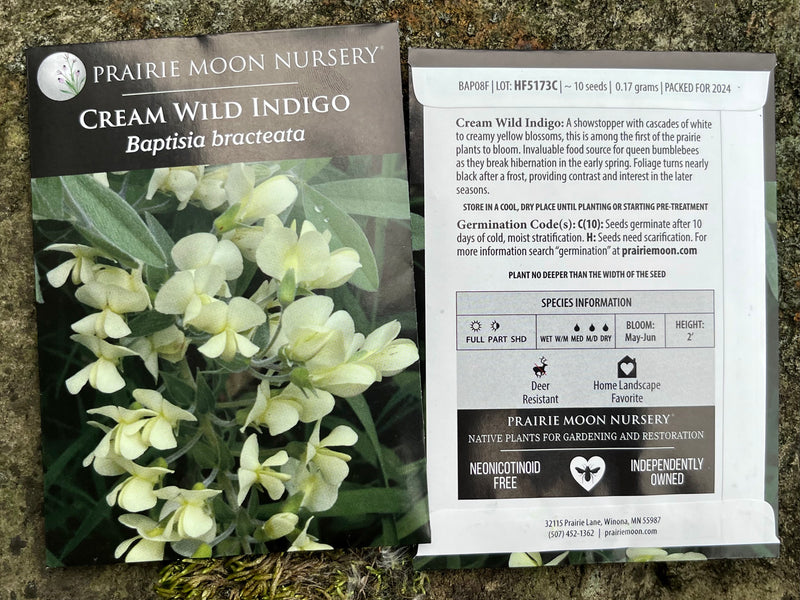 Seed Pack - Cream False Indigo (Baptisia bracteata)