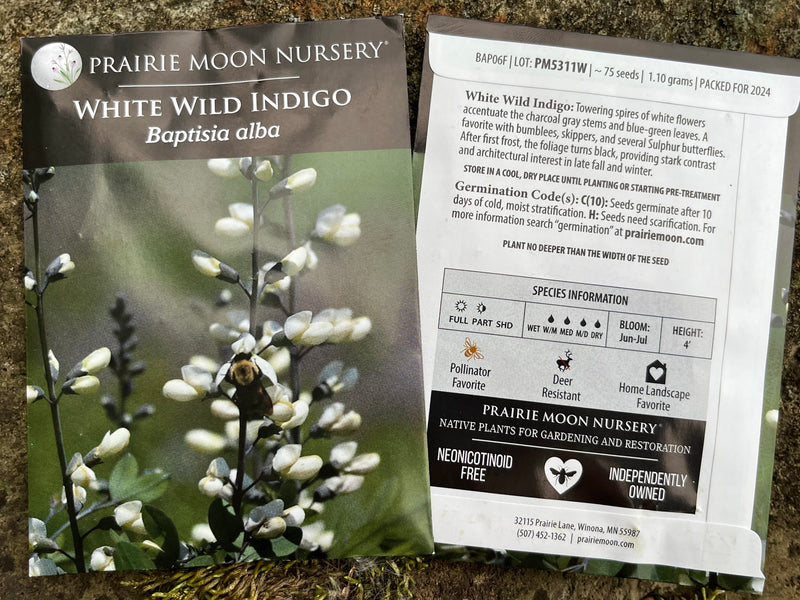 Seed Pack - White False Indigo (Baptisia alba)