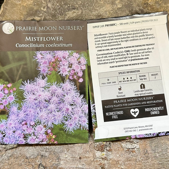 Seed Pack - Blue Mistflower (Conoclinium coelestinum)