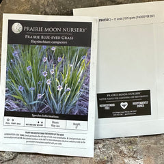 Seed Pack - Prairie Blue-eyed Grass (Sisyrinchium campestre)