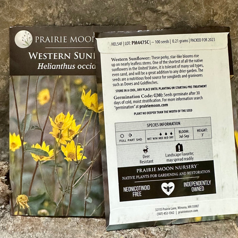 Seed Pack - Western Sunflower (Helianthus occidentalis)