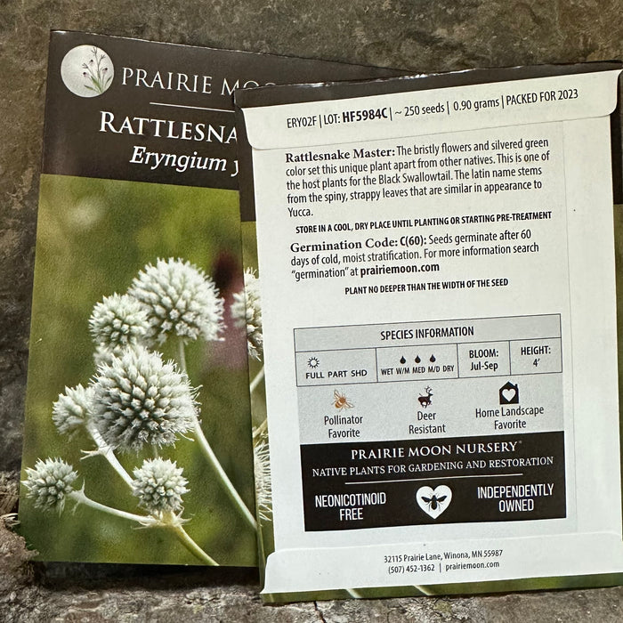 Seed Pack - Rattlesnake Master (Eryngium yuccifolium)