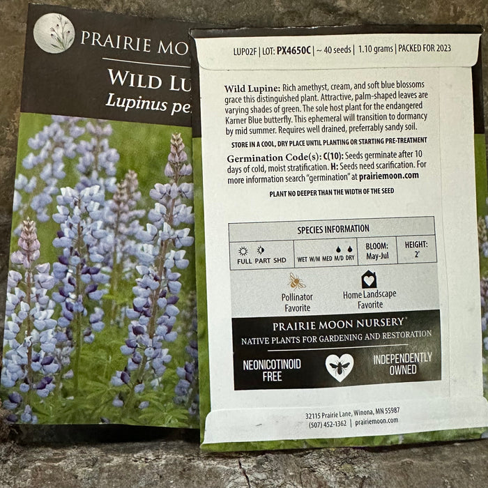 Seed Pack - Sundial [Wild] Lupine (Lupinus perennis)