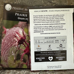Seed Pack - Prairie Smoke (Geum triflorum)