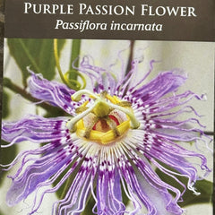 Seed Pack - Purple Passion Flower [Maypop] (Passiflora incarnata)