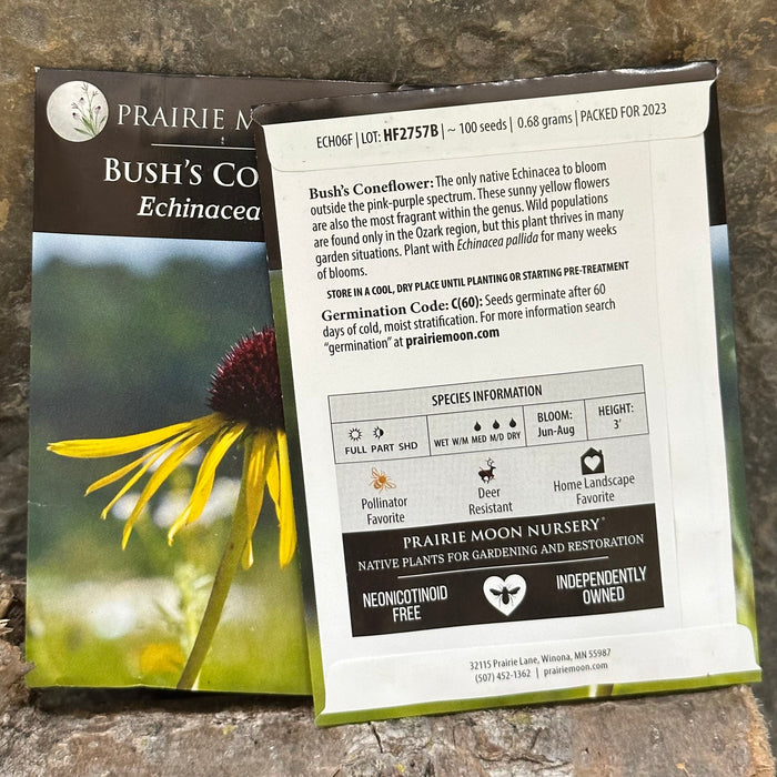 Seed Pack - Bush’s [Ozark] Coneflower (Echinacea paradoxa)