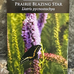 Seed Pack - Prairie Blazing Star (Liatris pycnostachya)