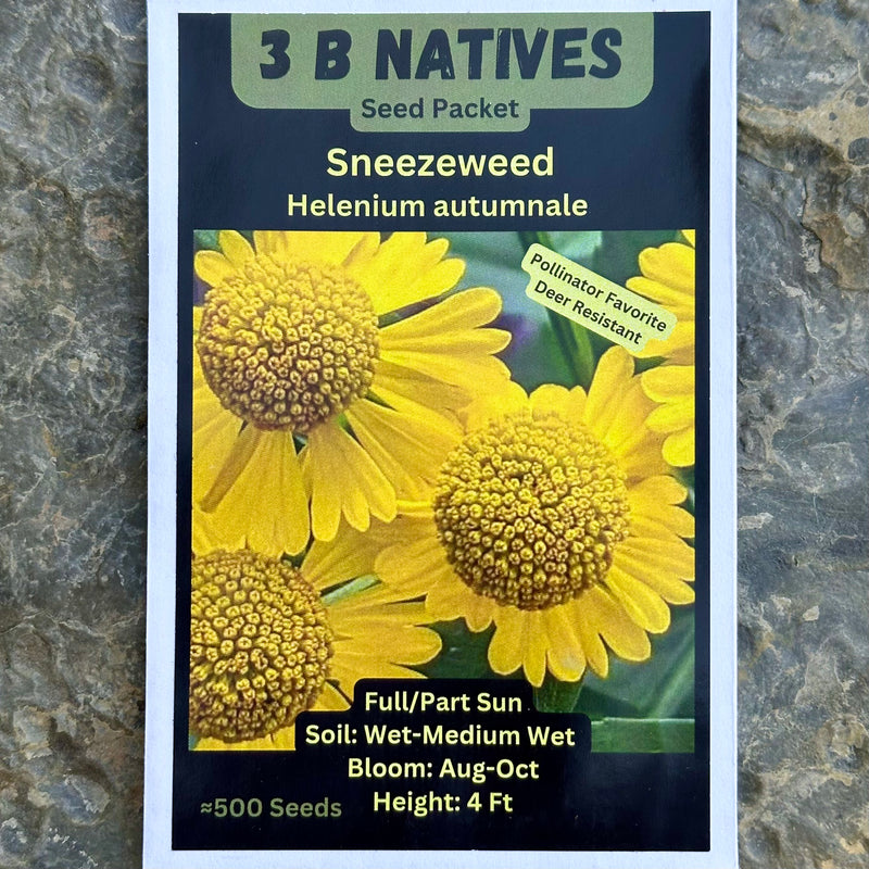 Seed Pack - Autumn Sneezeweed (Helenium autumnale)