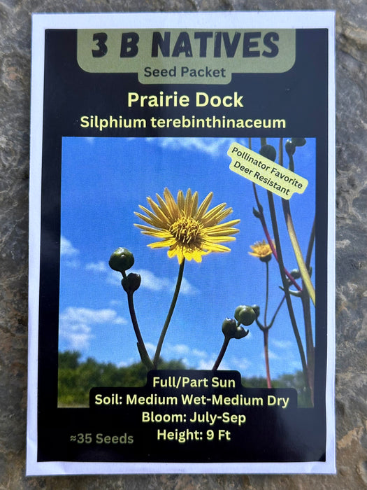 Seed Pack - Prairie Dock (Silphium terebinthinaceum)