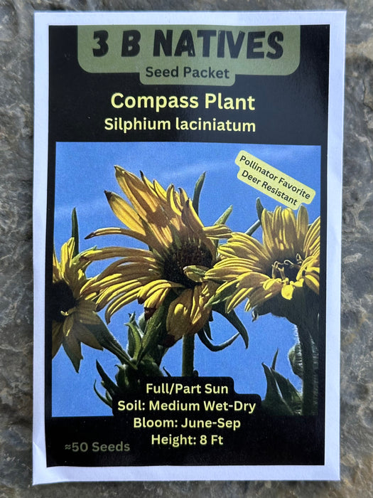 Seed Pack - Compass Plant (Silphium laciniatum)