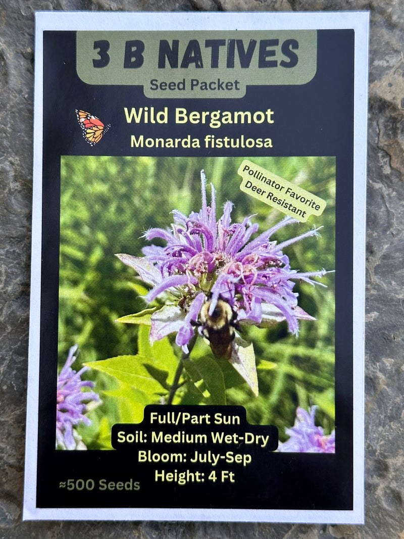 Seed Pack - Wild Bergamot [Bee Balm] (Monarda fitulosa)