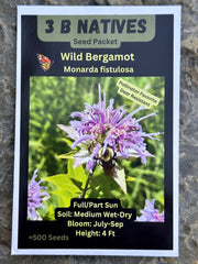 Seed Pack - Wild Bergamot [Bee Balm] (Monarda fitulosa)