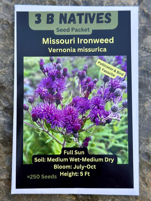 Seed Pack - Missouri Ironweed (Vernonia missurica)