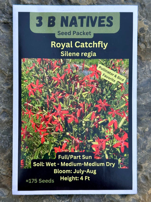 Seed Pack - Royal Catchfly (Silene regia)