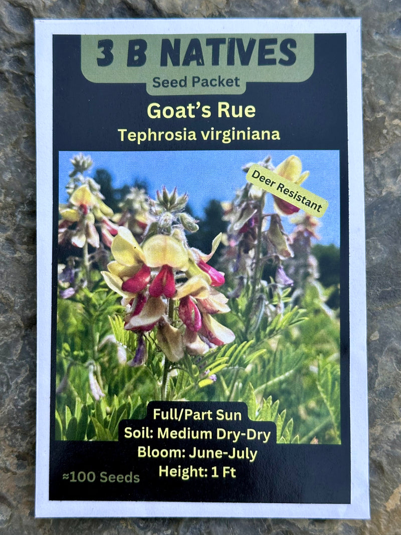 Seed Pack - Goat’s Rue (Tephrosia virginiana)