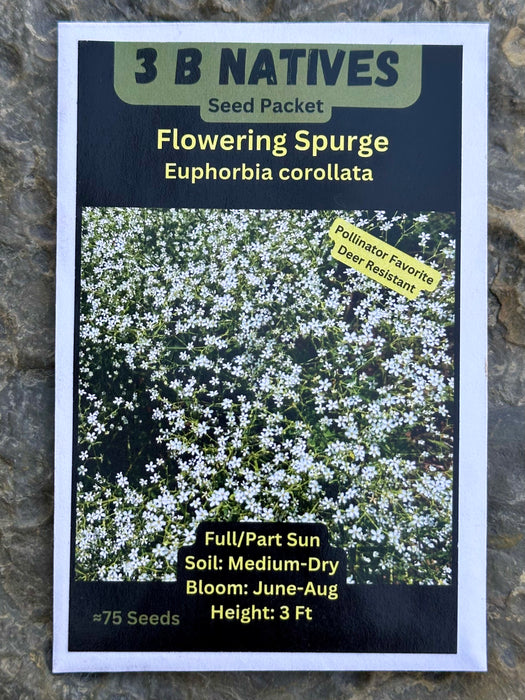 Seed Pack - Flowering Spurge (Euphorbia corollata)