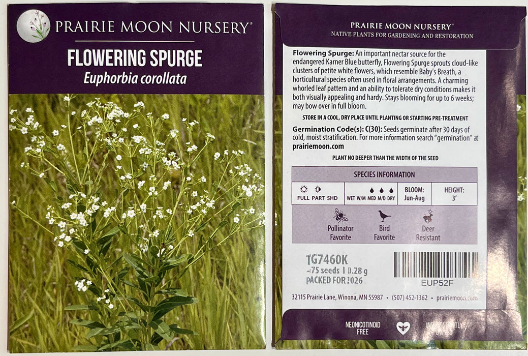 pongapong flower seeds Seed Pack