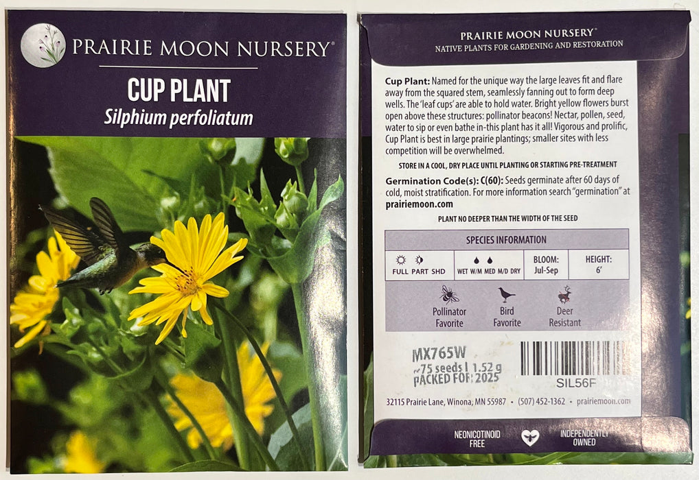 Seed Pack - Cup Plant (Silphium perfoliatum)