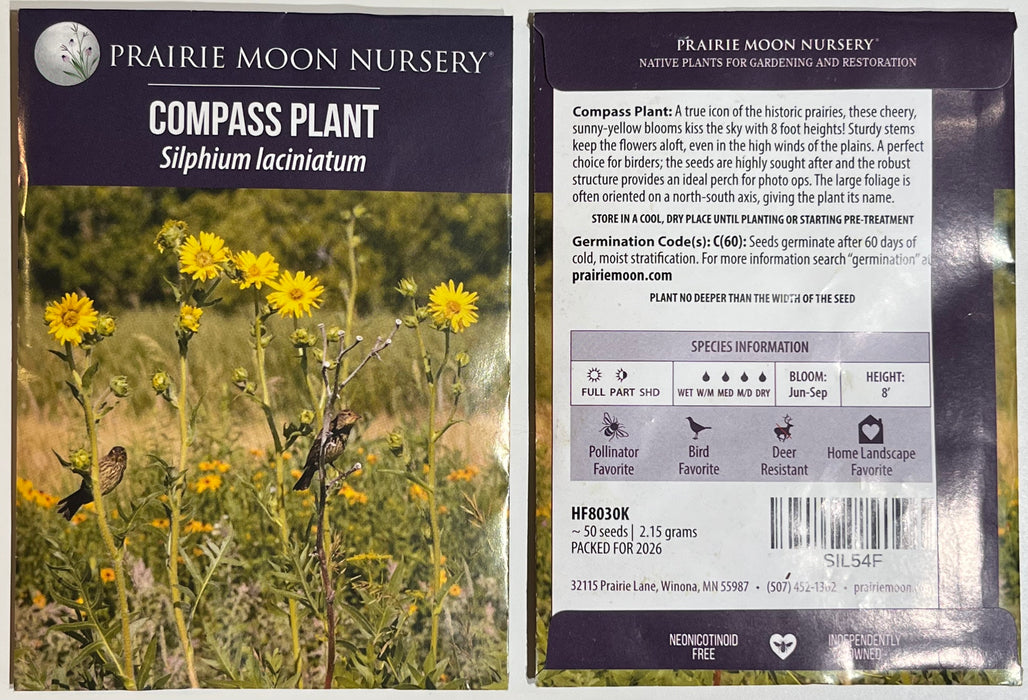 Seed Pack - Compass Plant (Silphium laciniatum)