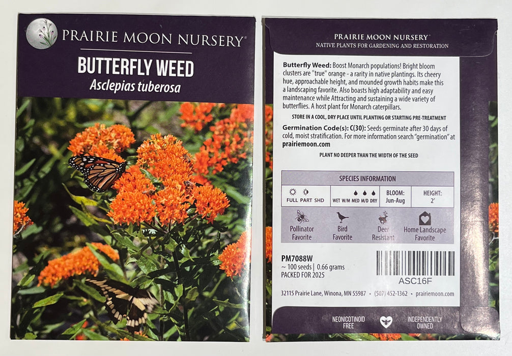 Seed Pack - Butterfly Milkweed (Asclepias tuberosa)