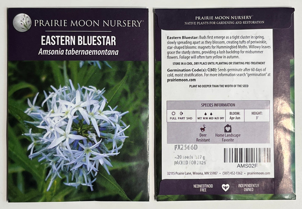 Seed Pack - Eastern Bluestar (Amsonia tabernaemontana)