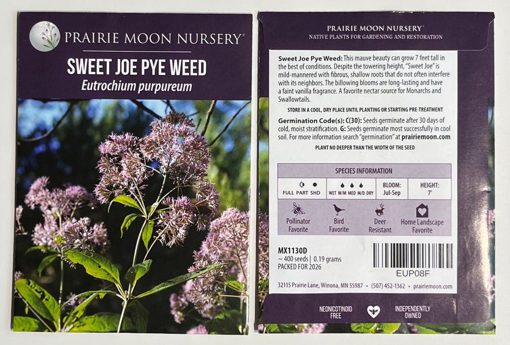 Seed Pack - Sweet Joe-pye Weed (Eutrochium purpureum)