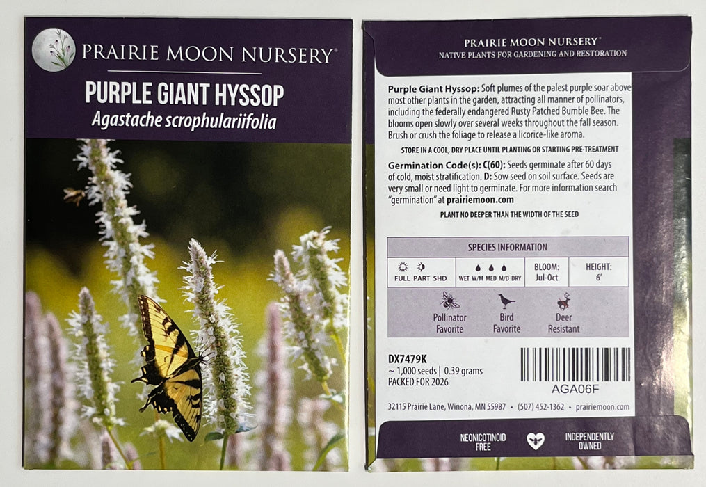 Seed Pack - Giant Purple Hyssop (Agastache scrophulariifolia)