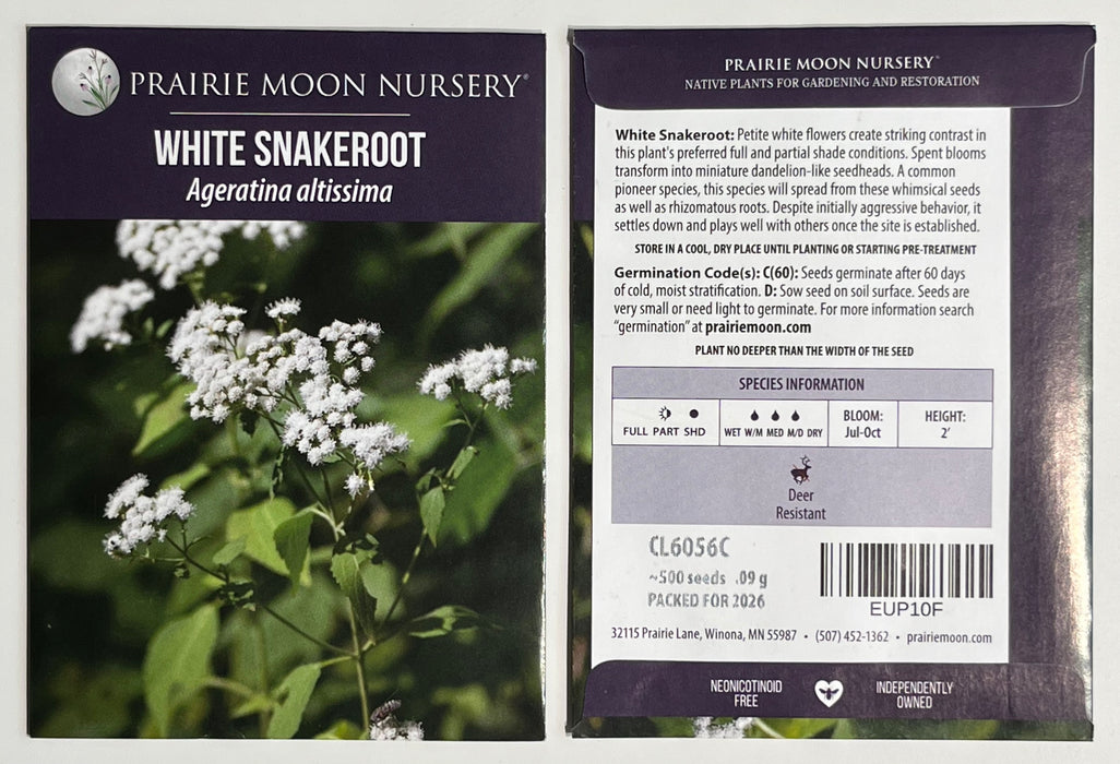 Seed Pack - White Snakeroot (Ageratina altissima)
