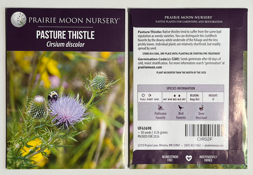 Seed Pack - Pasture Thistle (Cirsium discolor)