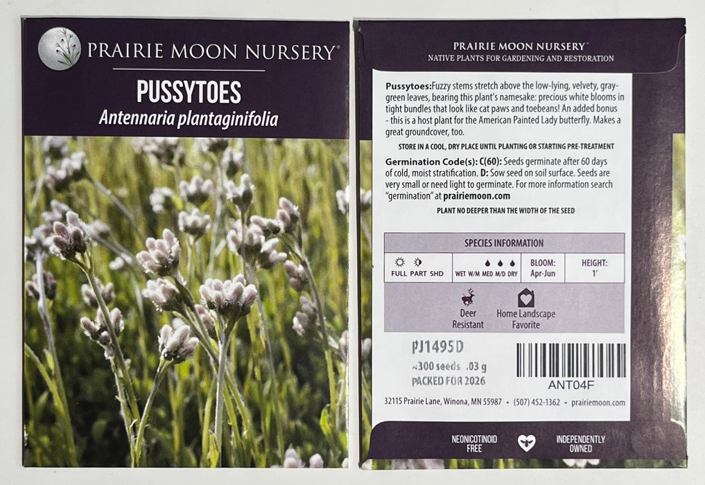 Seed Pack - Pussytoes (Antennaria plantaginifolia)