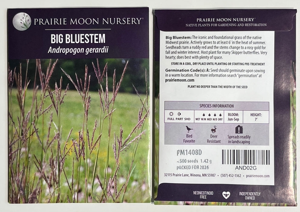 Seed Pack - Big Bluestem (Andropogon gerardii)