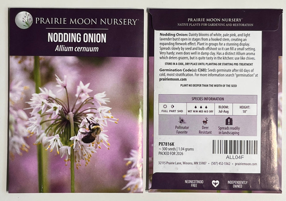 Seed Pack - Nodding Wild Onion (Allium cernuum)